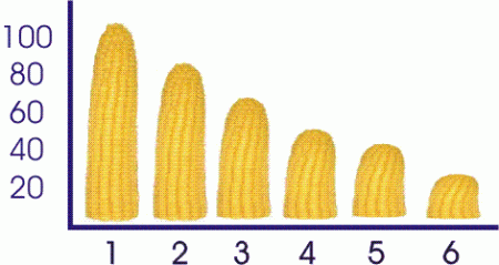Corn Multiplier